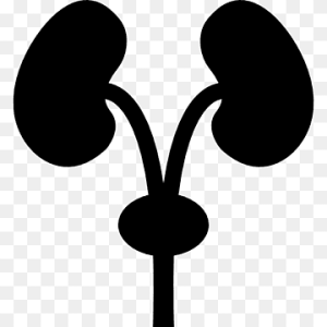Nephrology